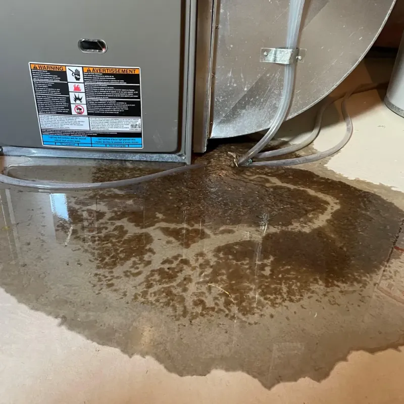 Appliance Leak Cleanup in Newton County, MO