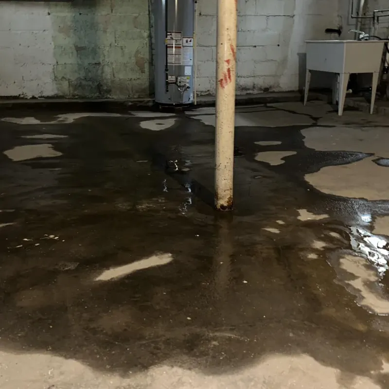 Emergency Water Extraction And Removal in Newton County, MO